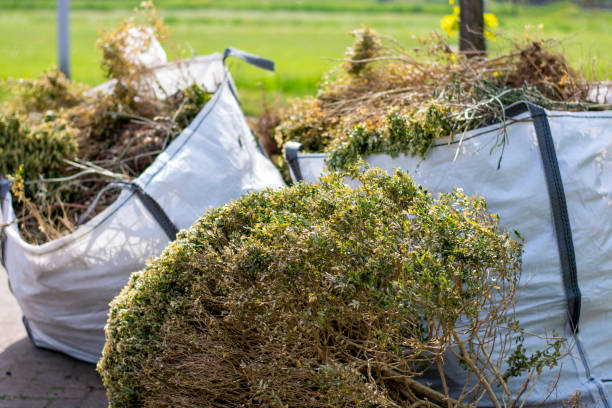 Best Junk Removal Near Me  in Hercules, CA